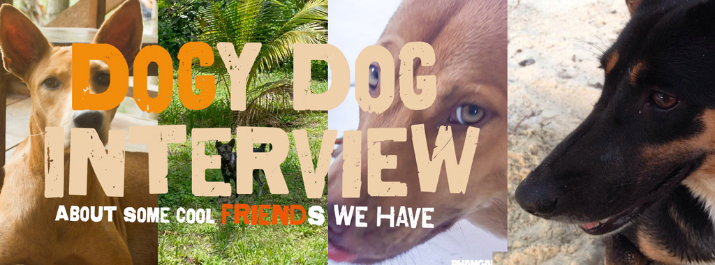 dogi-dog-interview.jpg