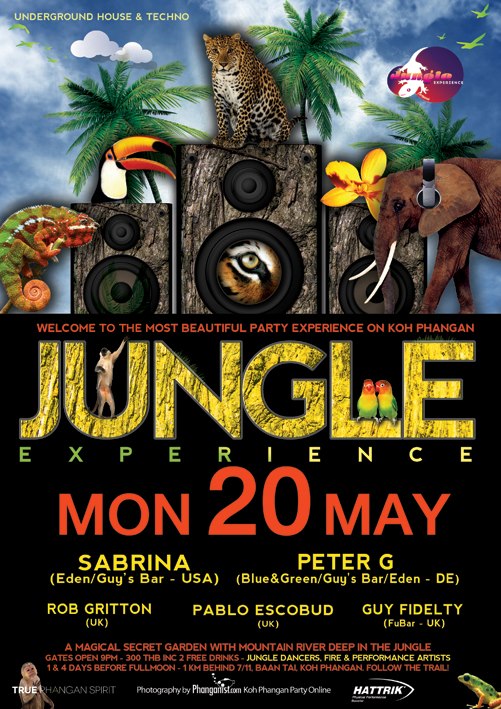 jungle experience party koh phangan tech house music 